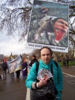 Mad Dogs And Englishmen