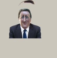 Cam Thatch