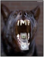 Imf